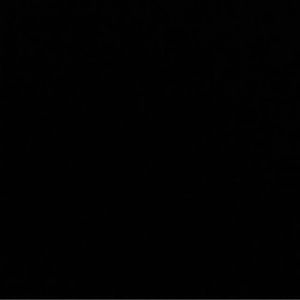 Meet your Posher, Samuel